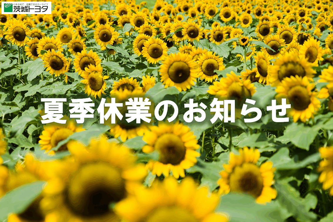 夏季休業のお知らせ