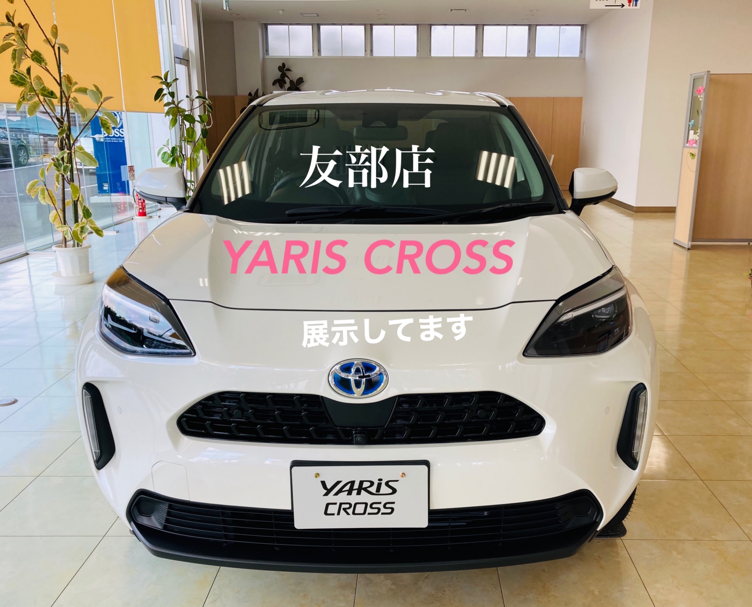 友部店 茨城トヨタ自動車株式会社 トヨタ自動車webサイト 友部店 茨城トヨタ自動車株式会社 トヨタ自動車webサイト