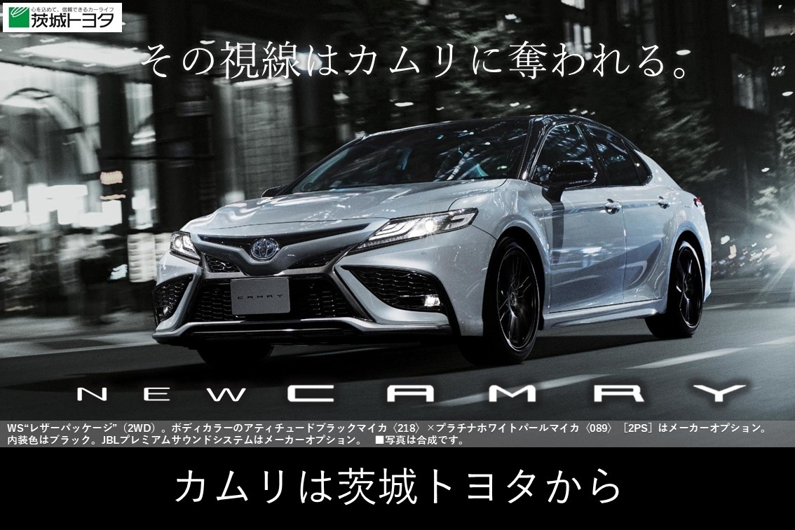 DMS2021.01SPカムリ