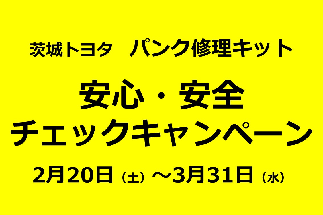 DMS2021.02SPパンク修理キットキャンペーン01