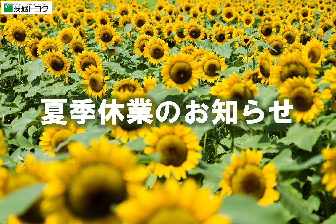 夏季休業のお知らせ