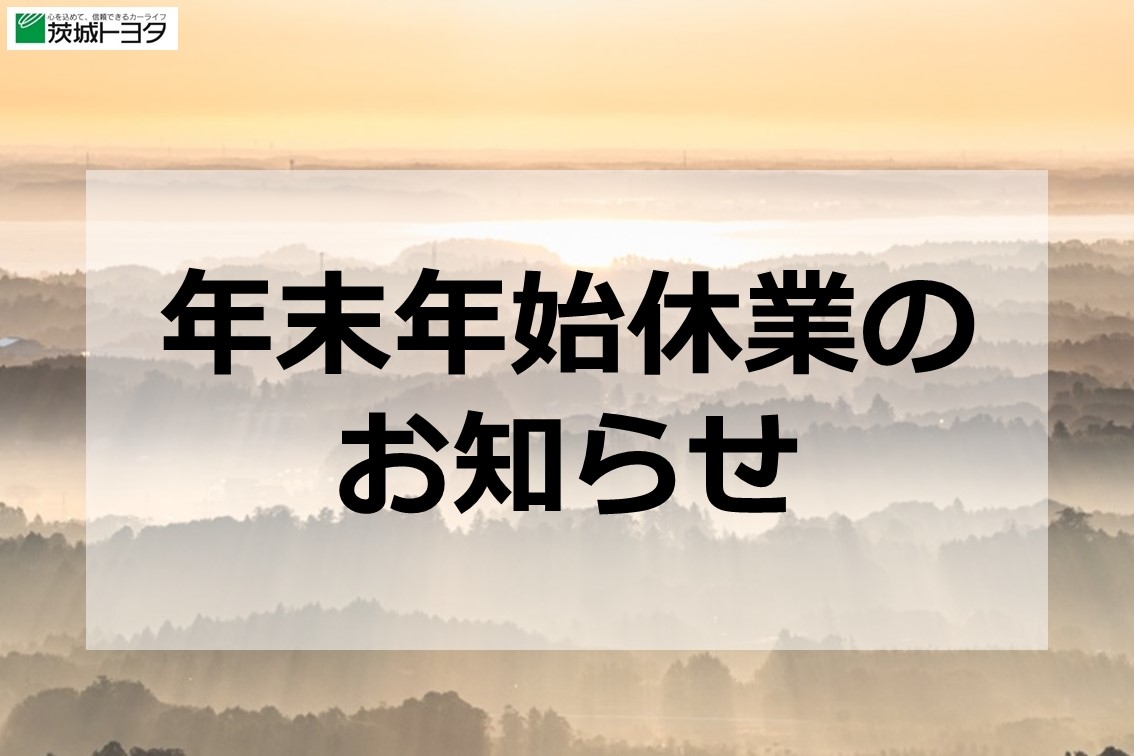 DMS2021.12_new_year_holiday_season_banner_SP