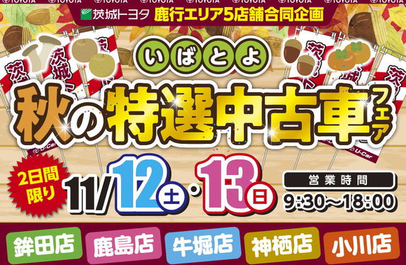 【大特価｜定価60％OFF｜送料込】★現品のみ★ 茨城県ひたちなか市＿在庫1点 秋の特選中古車フェア🍂