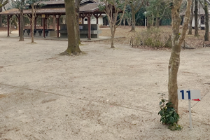 第1オートキャンプ