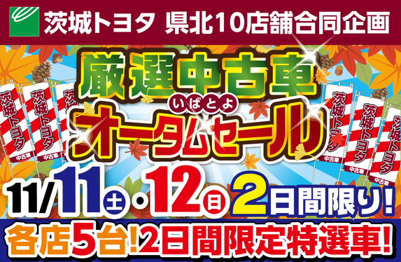 🍁 いばとよ厳選中古車 🚘 オータムセール 🌰