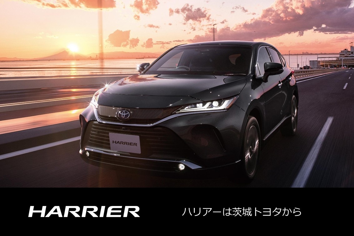 DMS2025.06ハリアーSP