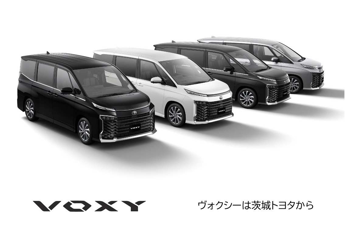 DMS2025.09VOXYSP