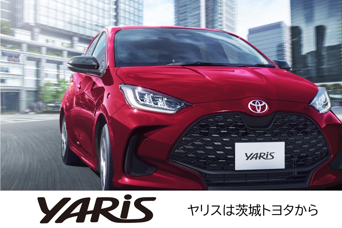 DMS2025.12SP_ヤリス